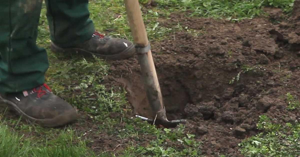 Pflanzloch ausheben Gartenvergnuegen Lochte