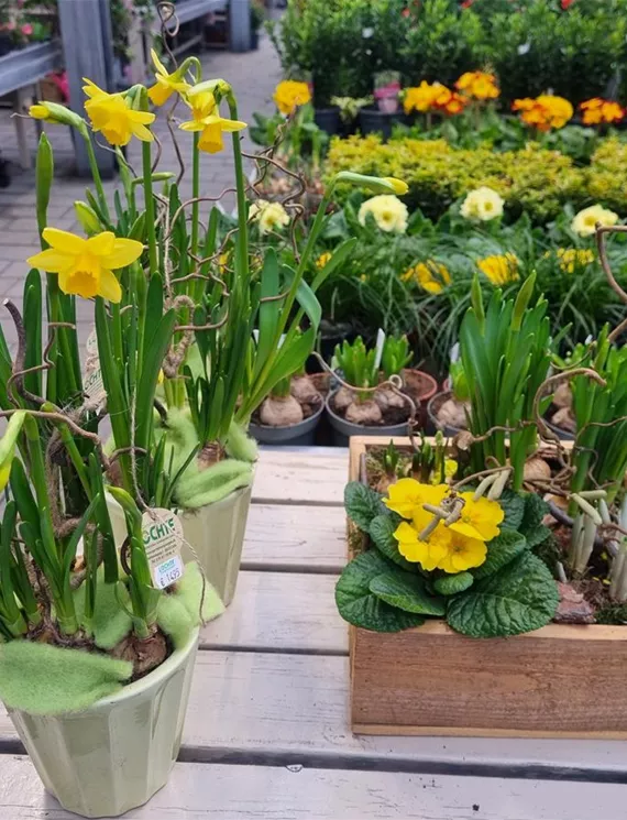 Floristikmanufaktur Anfang 2024 (10).jpg