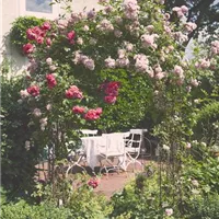 GS495862.jpg